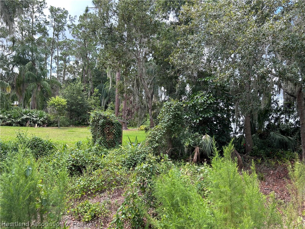 6835 Sparta Road Sebring, FL 33875 - Photo 13 of 22 a view of a garden with plants