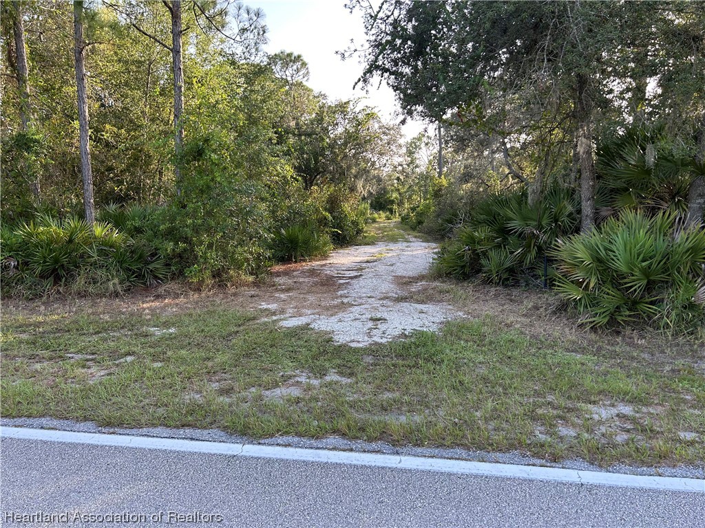 6835 Sparta Road Sebring, FL 33875 - Photo 2 of 22 a view of a yard with a tree