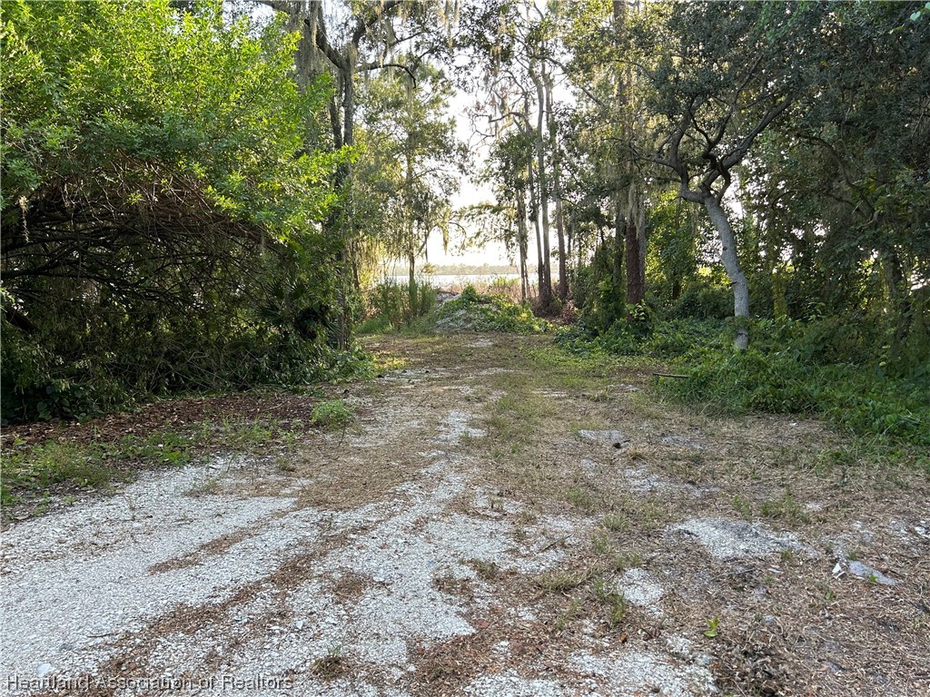 6835 Sparta Road Sebring, FL 33875 - Photo 3 of 22 a view of a forest with trees in the background