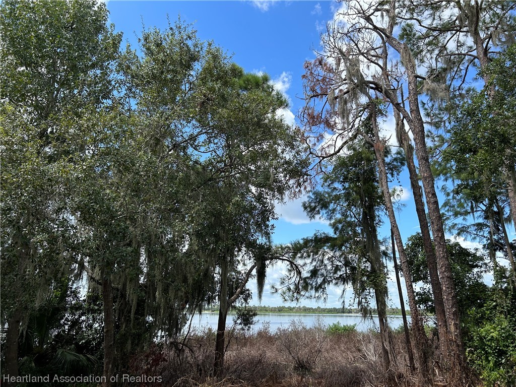 6835 Sparta Road Sebring, FL 33875 - Photo 4 of 22 a view of backyard with green space