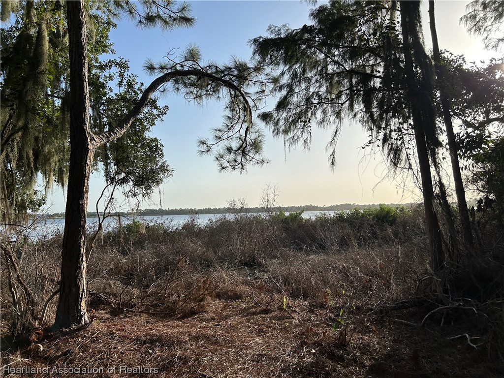6835 Sparta Road Sebring, FL 33875 - Photo 6 of 22 a view of a yard with a tree