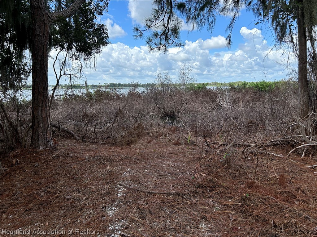 6835 Sparta Road Sebring, FL 33875 - Photo 7 of 22 a view of a yard with a tree
