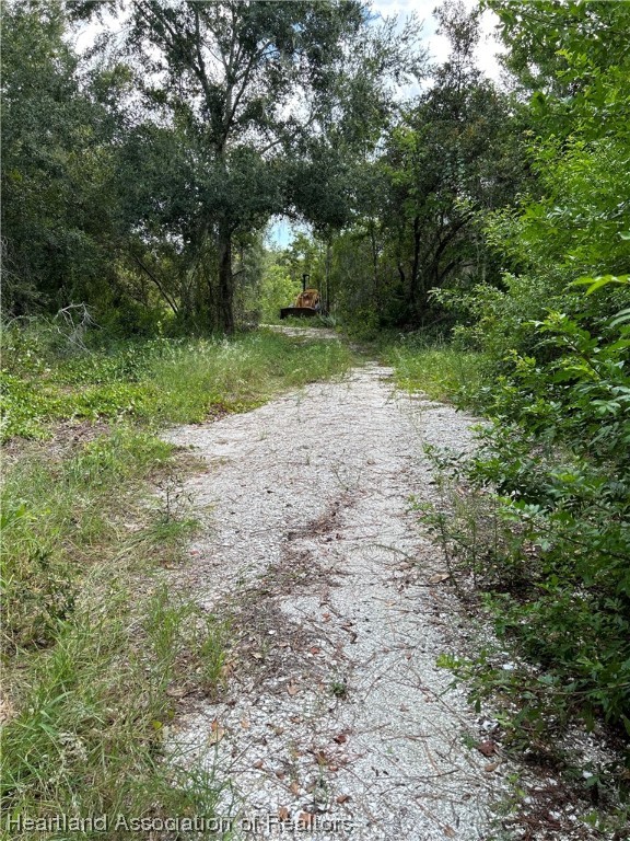 6835 Sparta Road Sebring, FL 33875 - Photo 8 of 22 a view of a trees with a yard