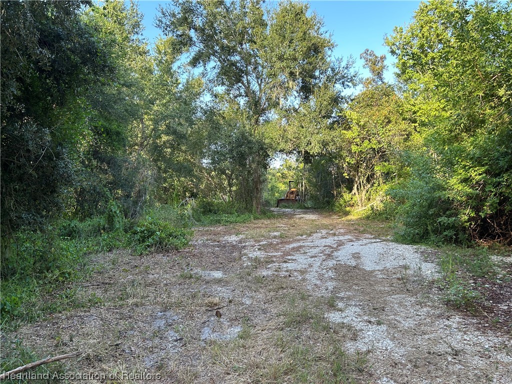 6835 Sparta Road Sebring, FL 33875 - Photo 9 of 22 a view of a yard with trees