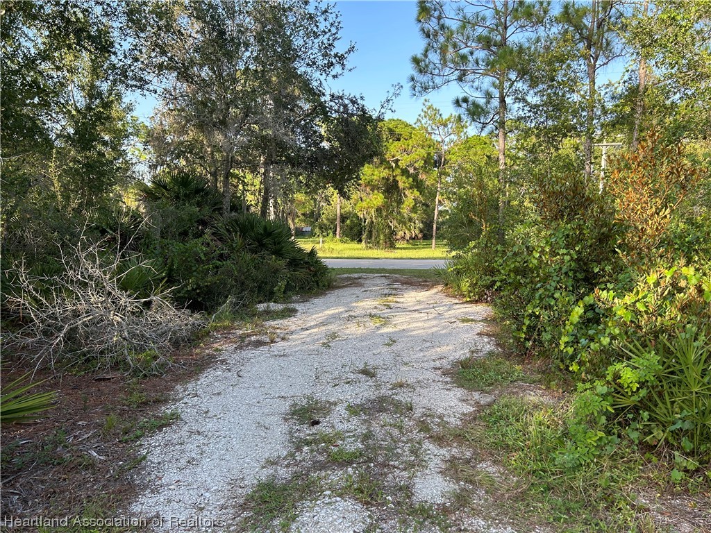 6835 Sparta Road Sebring, FL 33875 - Photo 10 of 22 a view of a yard with plants and trees