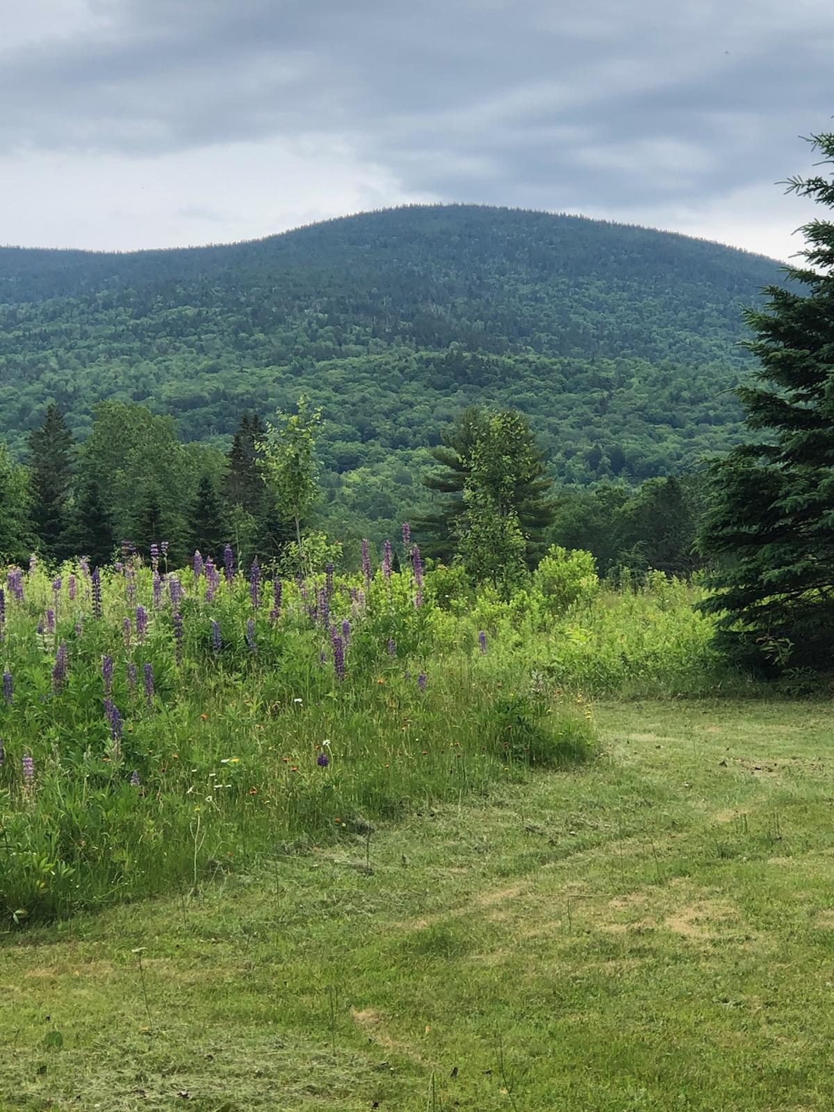 7 River Road Oquossoc, ME 04964 - Photo 12 of 13 mountain views