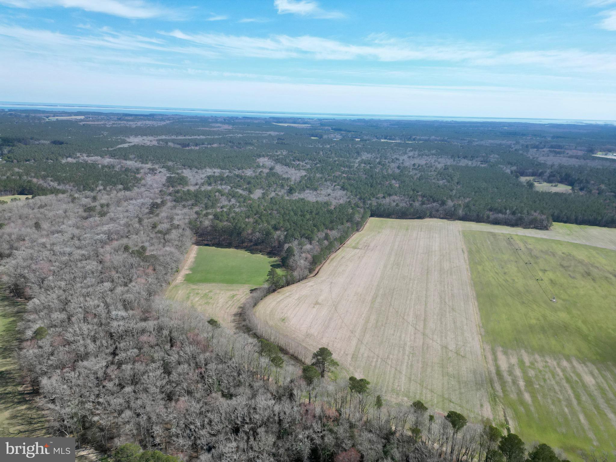 0 Blake Road Snow Hill, MD 21863 - Photo 11 of 29