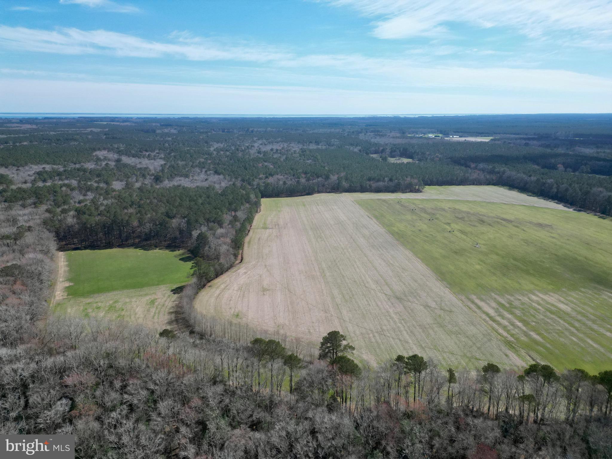 0 Blake Road Snow Hill, MD 21863 - Photo 12 of 29