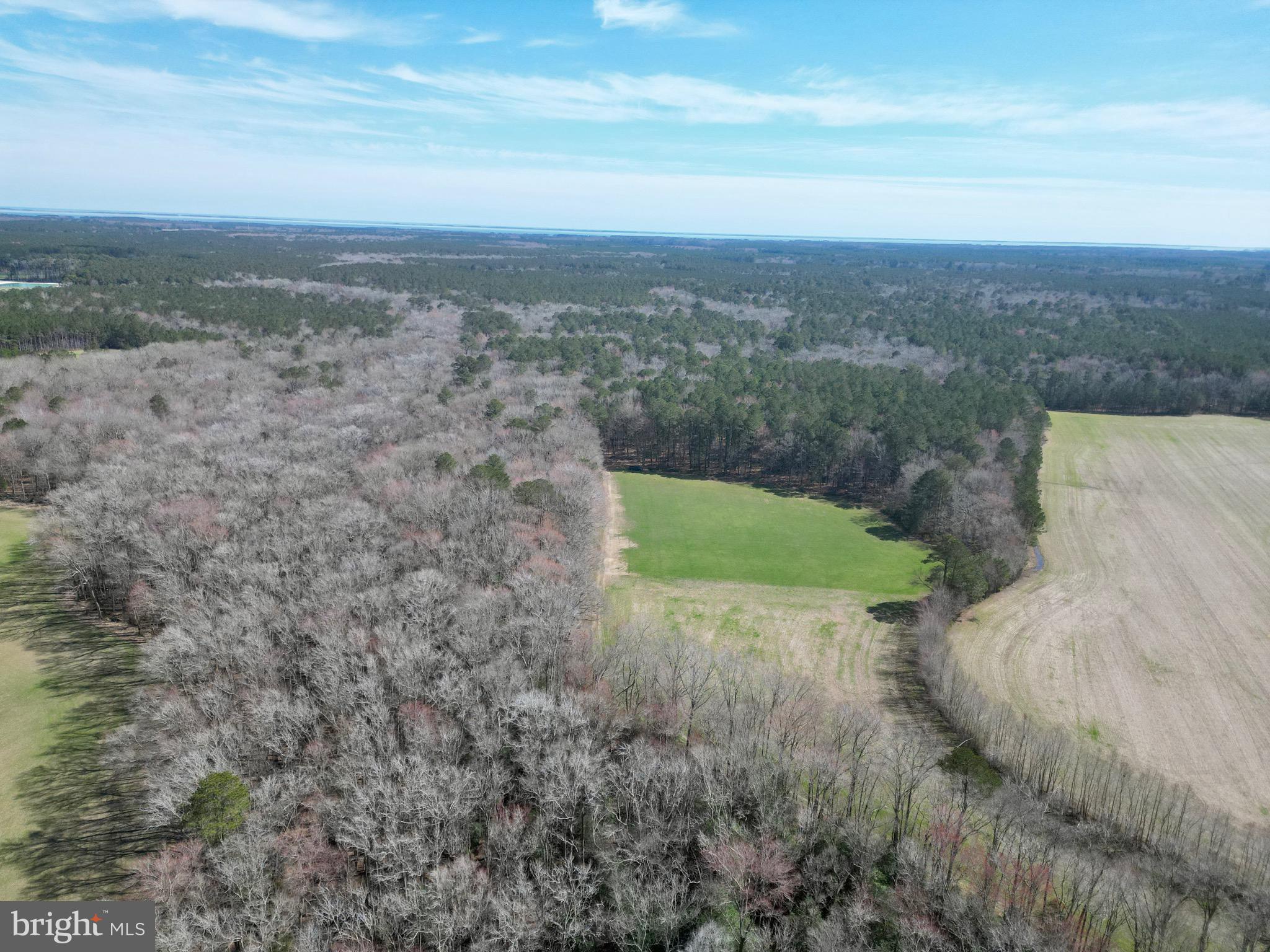 0 Blake Road Snow Hill, MD 21863 - Photo 13 of 29