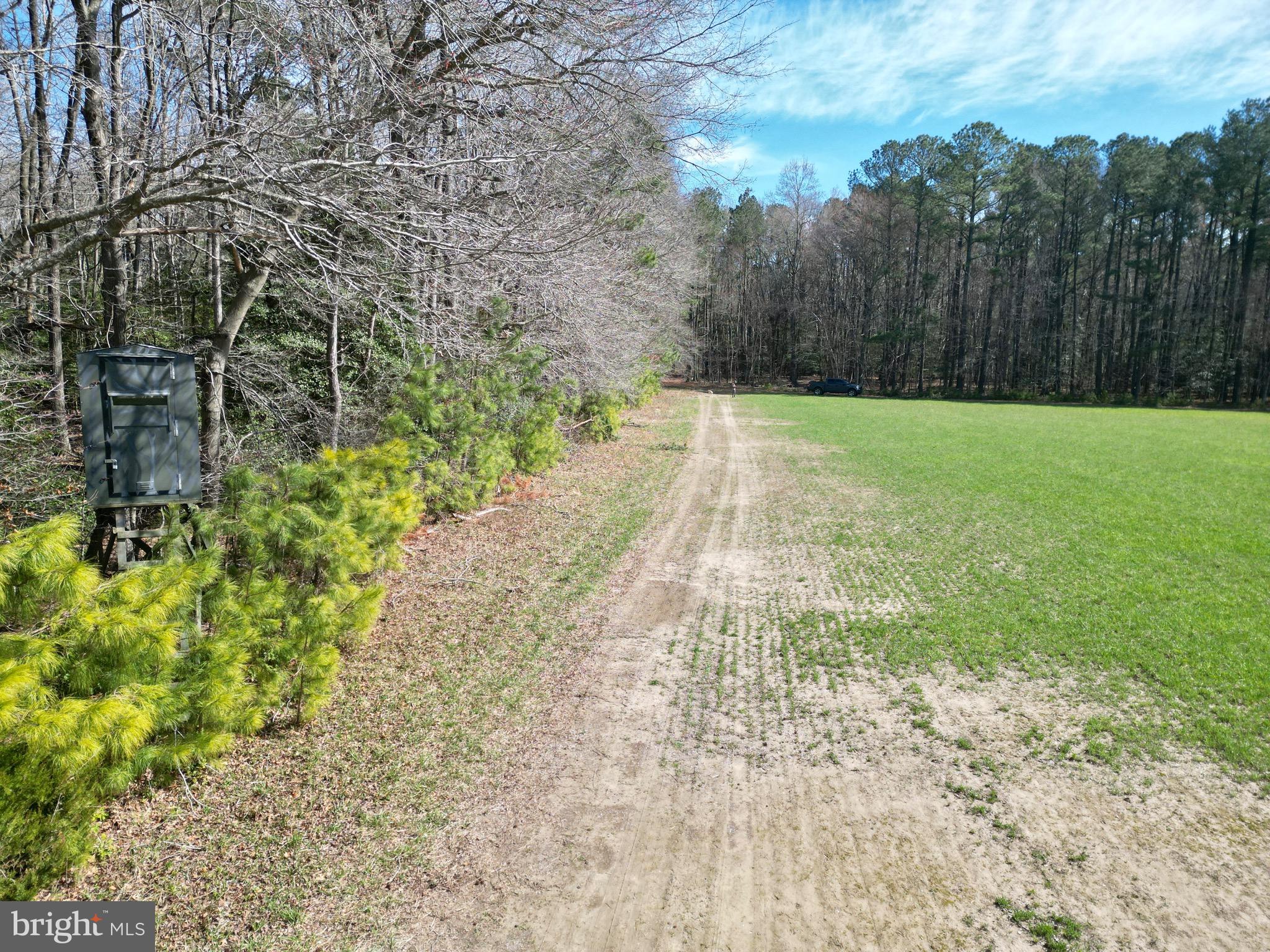 0 Blake Road Snow Hill, MD 21863 - Photo 19 of 29