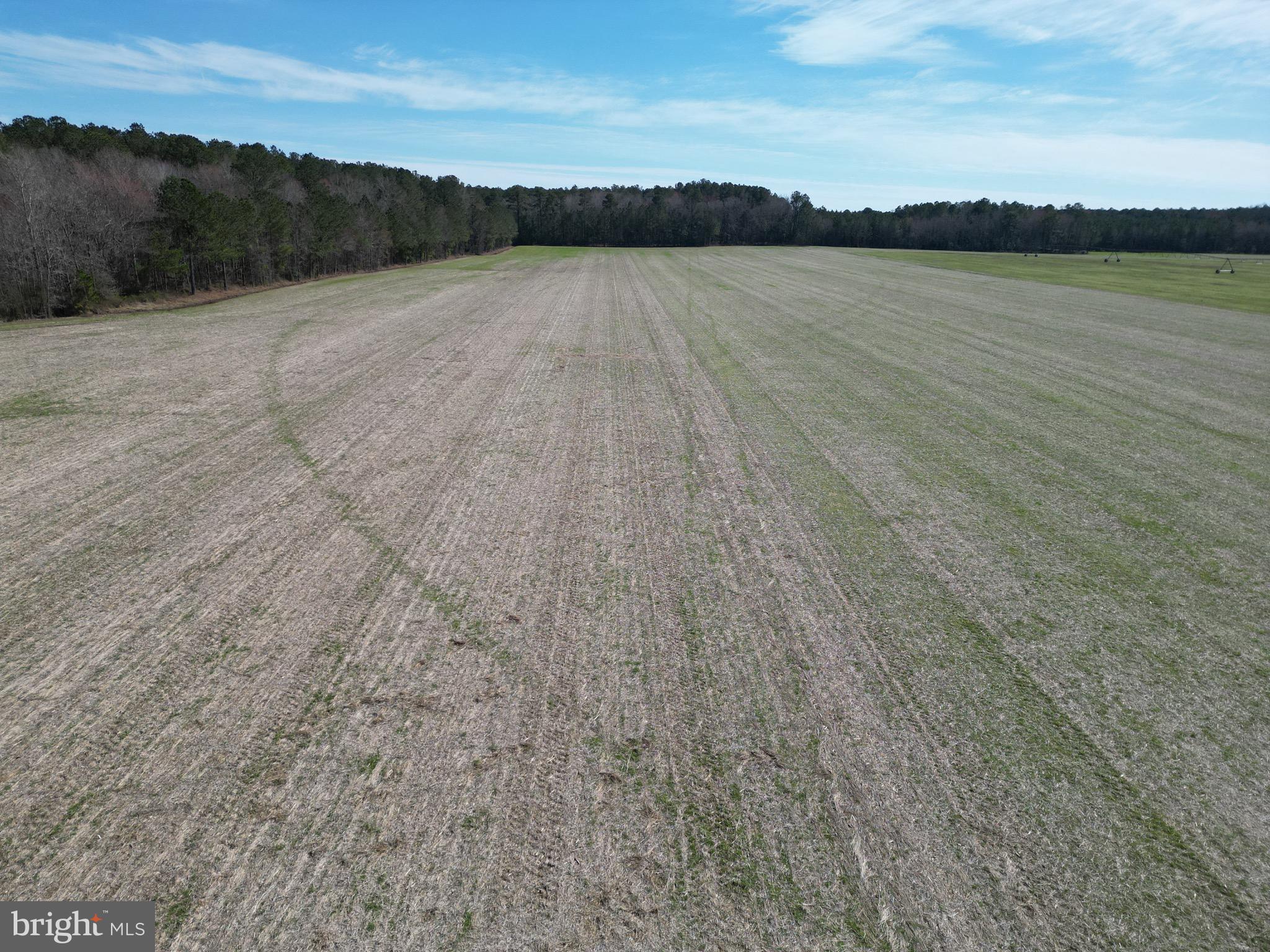 0 Blake Road Snow Hill, MD 21863 - Photo 21 of 29