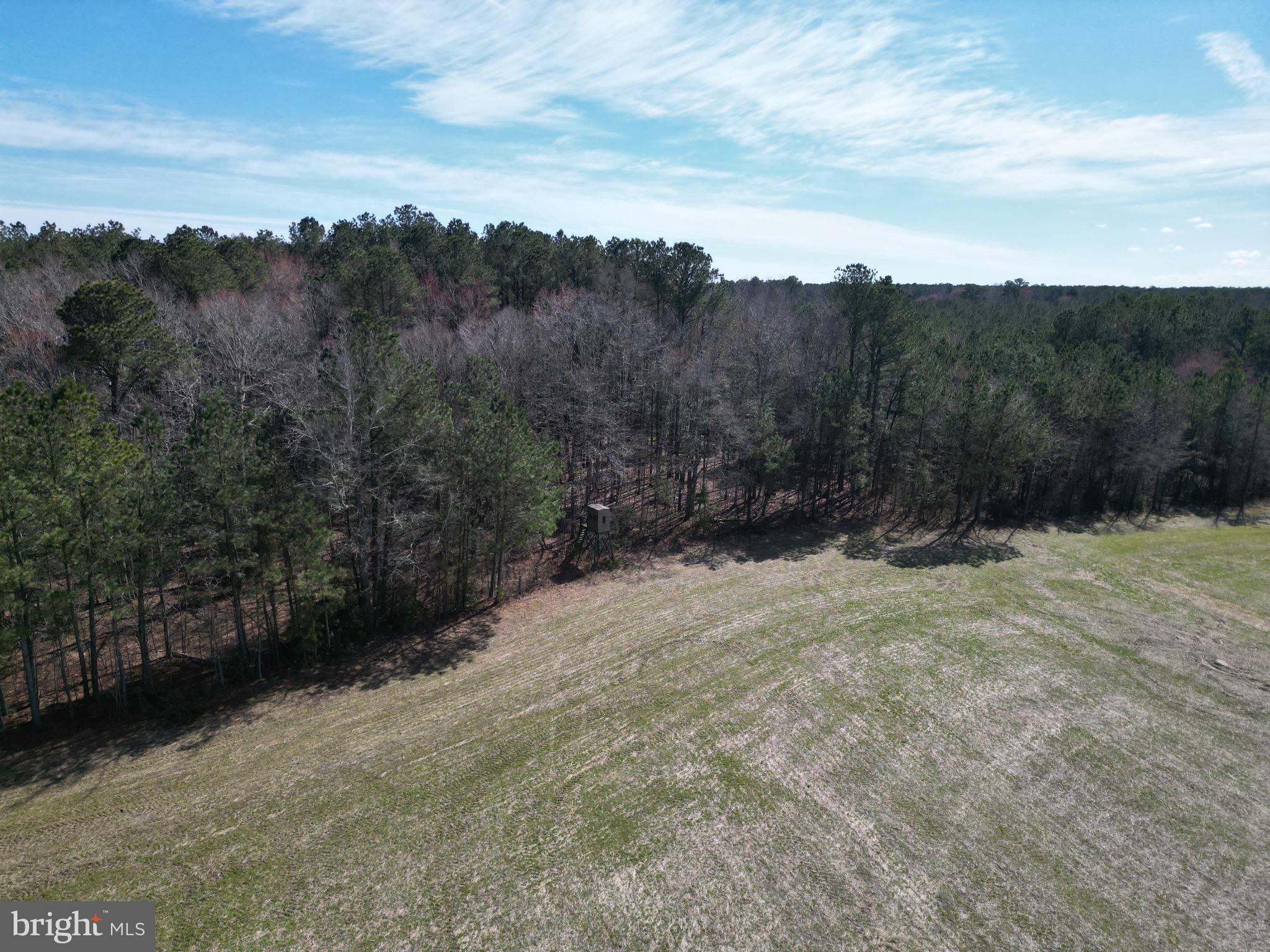 0 Blake Road Snow Hill, MD 21863 - Photo 22 of 29