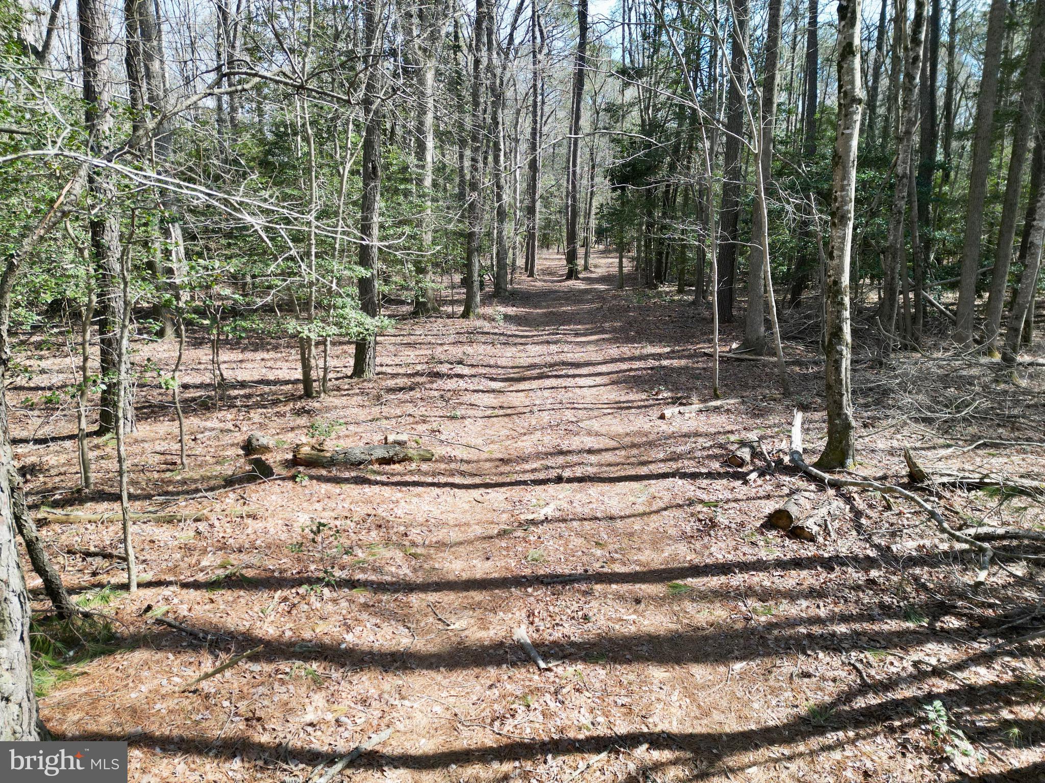 0 Blake Road Snow Hill, MD 21863 - Photo 24 of 29