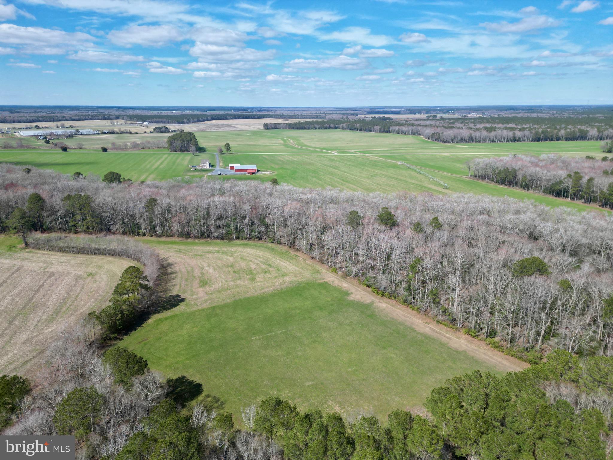 0 Blake Road Snow Hill, MD 21863 - Photo 3 of 29