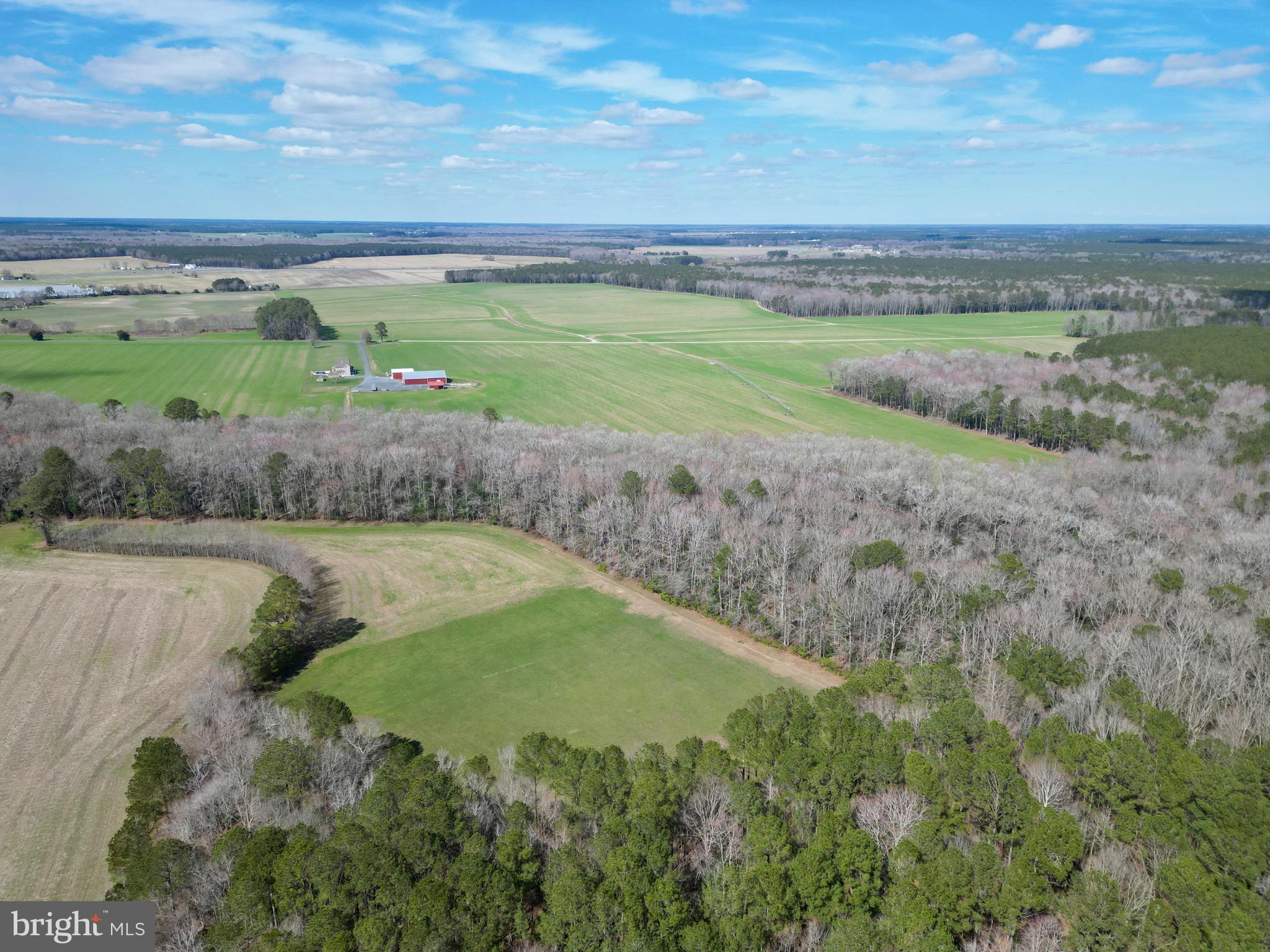 0 Blake Road Snow Hill, MD 21863 - Photo 4 of 29