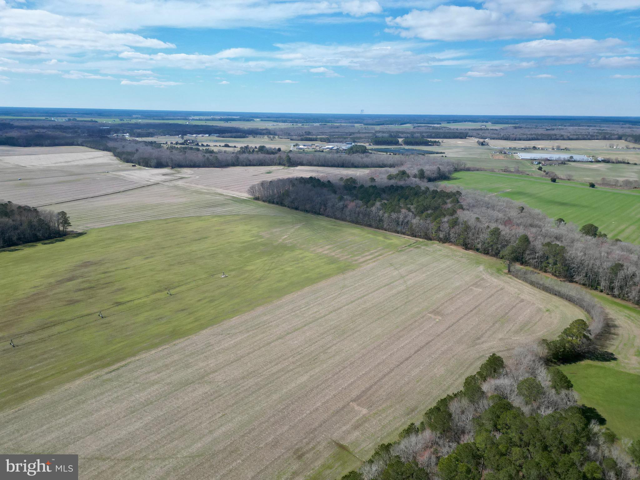 0 Blake Road Snow Hill, MD 21863 - Photo 5 of 29