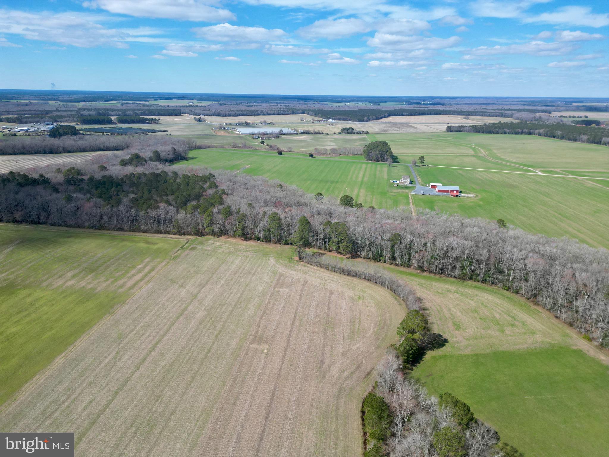 0 Blake Road Snow Hill, MD 21863 - Photo 6 of 29