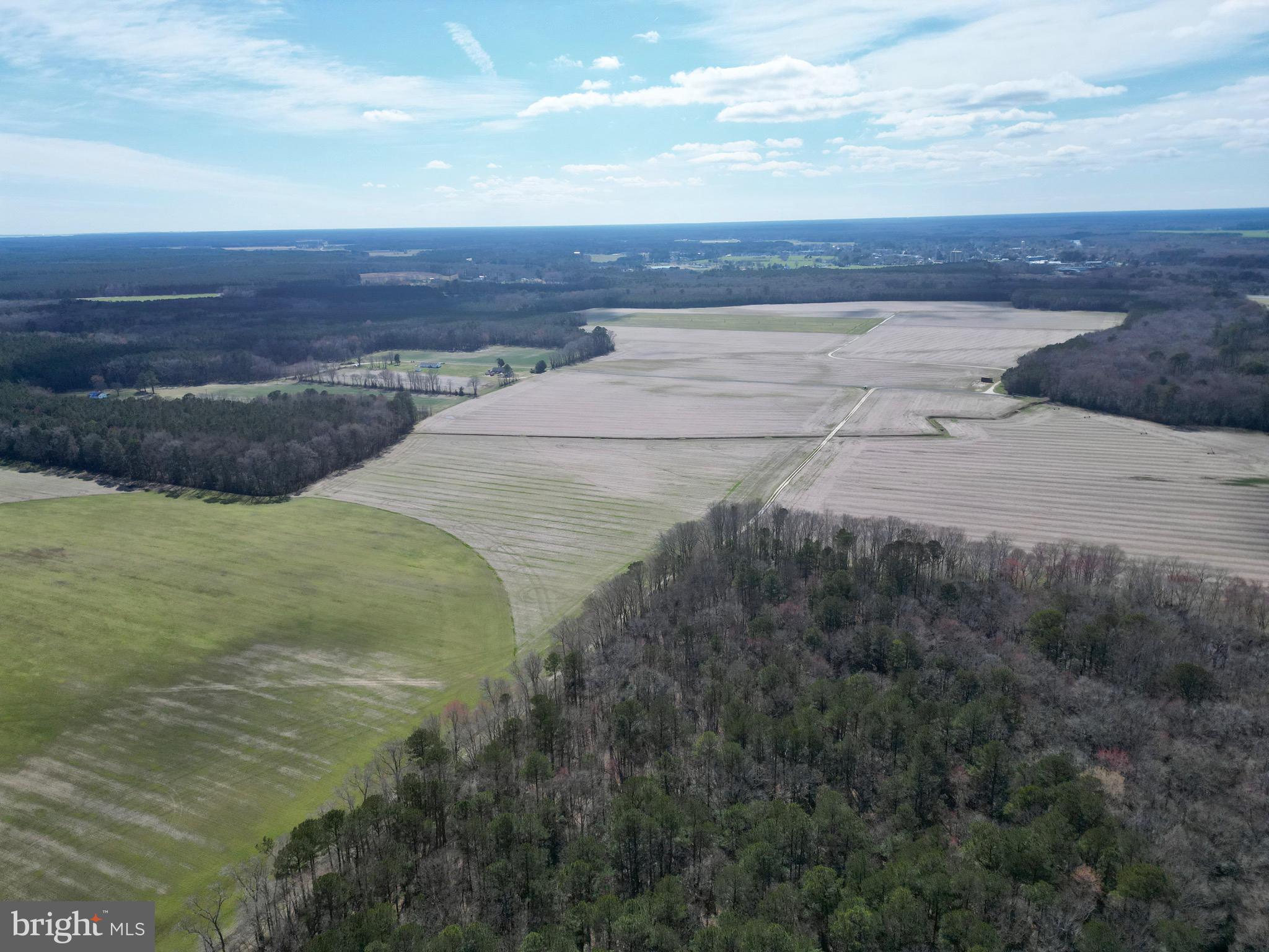 0 Blake Road Snow Hill, MD 21863 - Photo 7 of 29