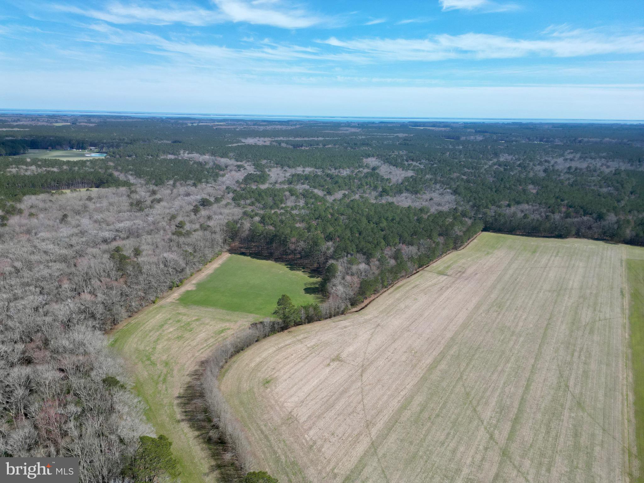 0 Blake Road Snow Hill, MD 21863 - Photo 8 of 29