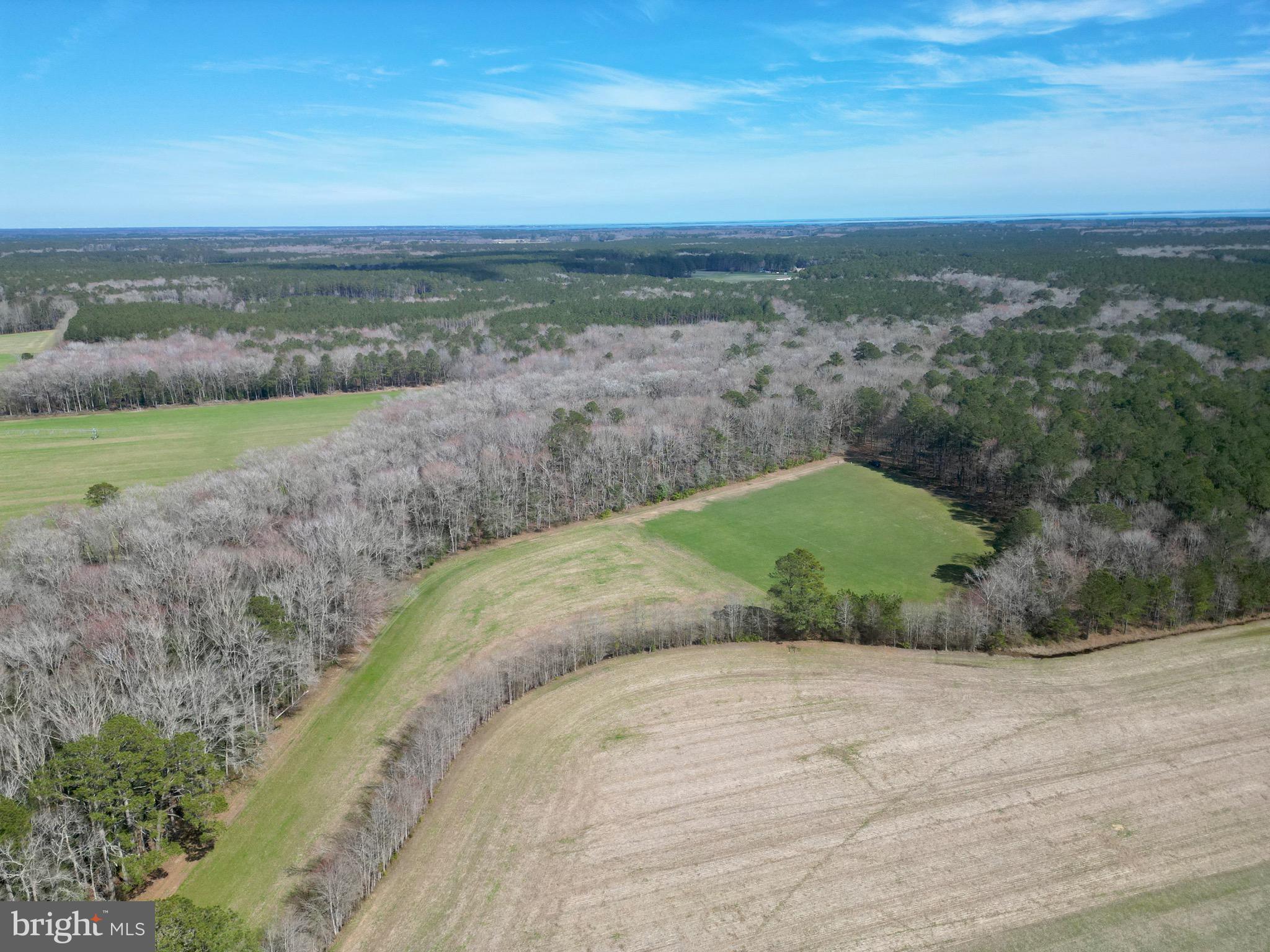0 Blake Road Snow Hill, MD 21863 - Photo 9 of 29