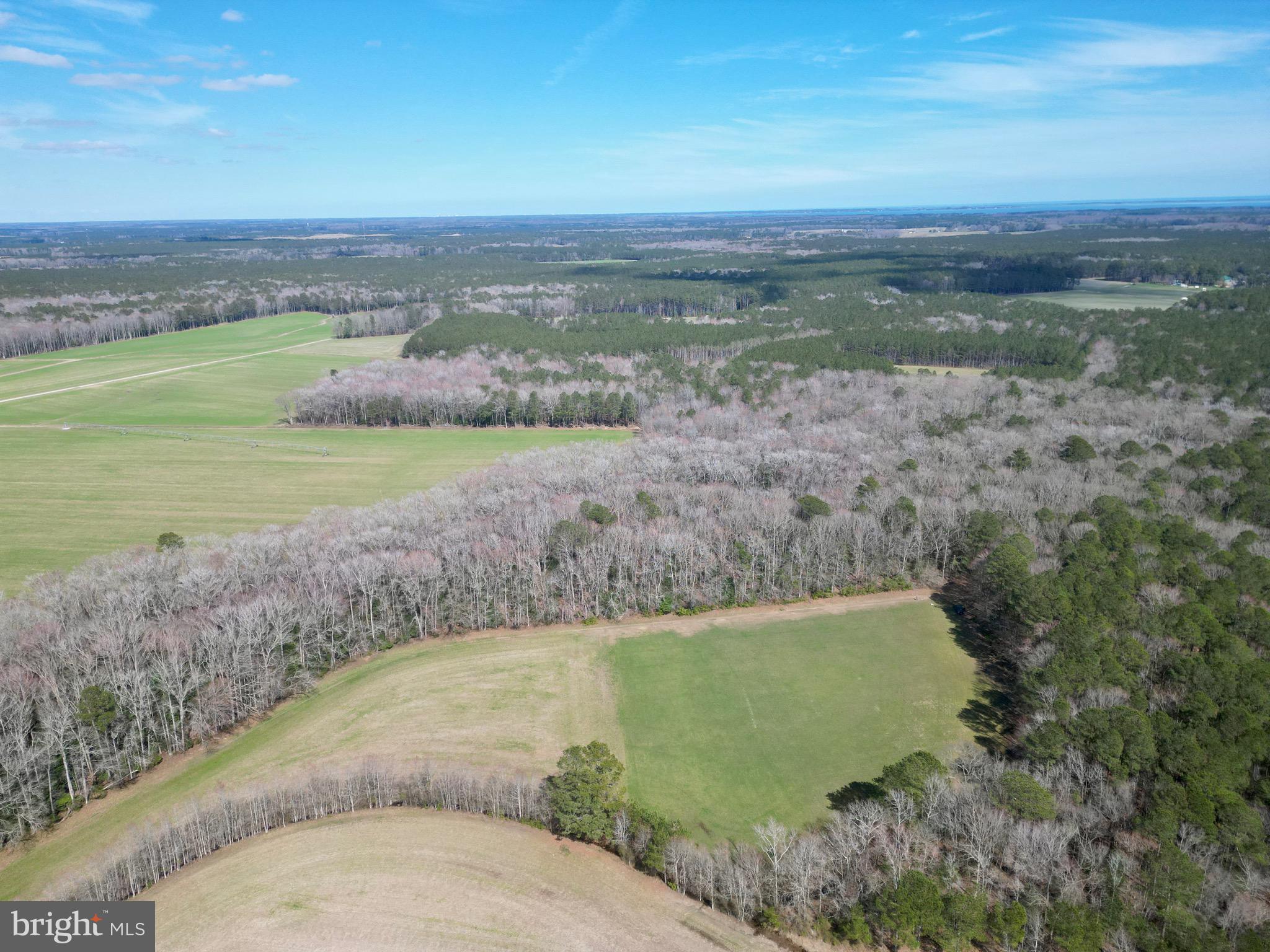 0 Blake Road Snow Hill, MD 21863 - Photo 10 of 29