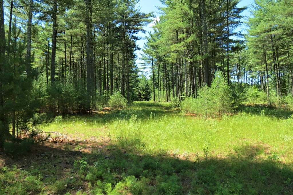 407 Upper Jay-Trumbulls Corners Road Jay, NY 12941 - Photo 16 of 25
