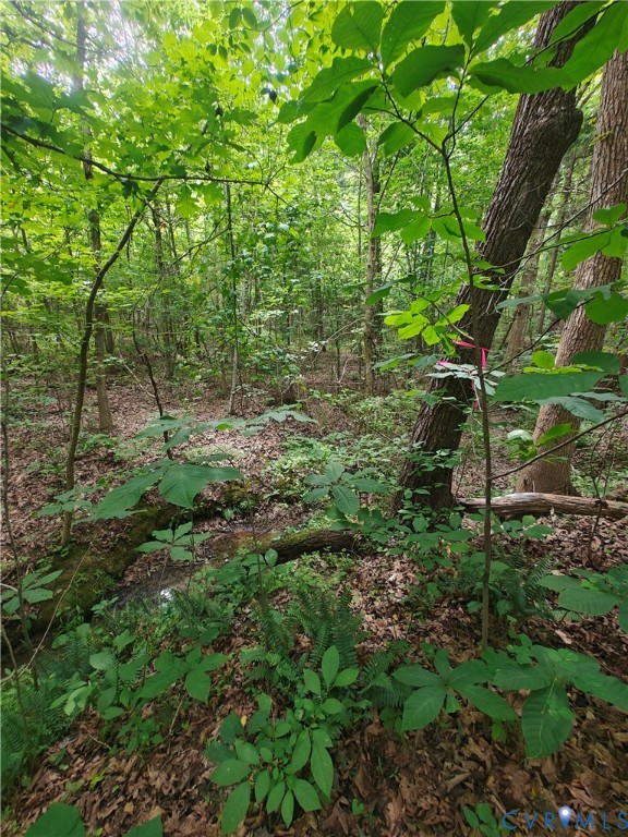 0 Davenport Road Cumberland, VA 23040 - Photo 4 of 15