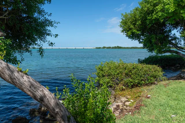 a view of a lake with a garden