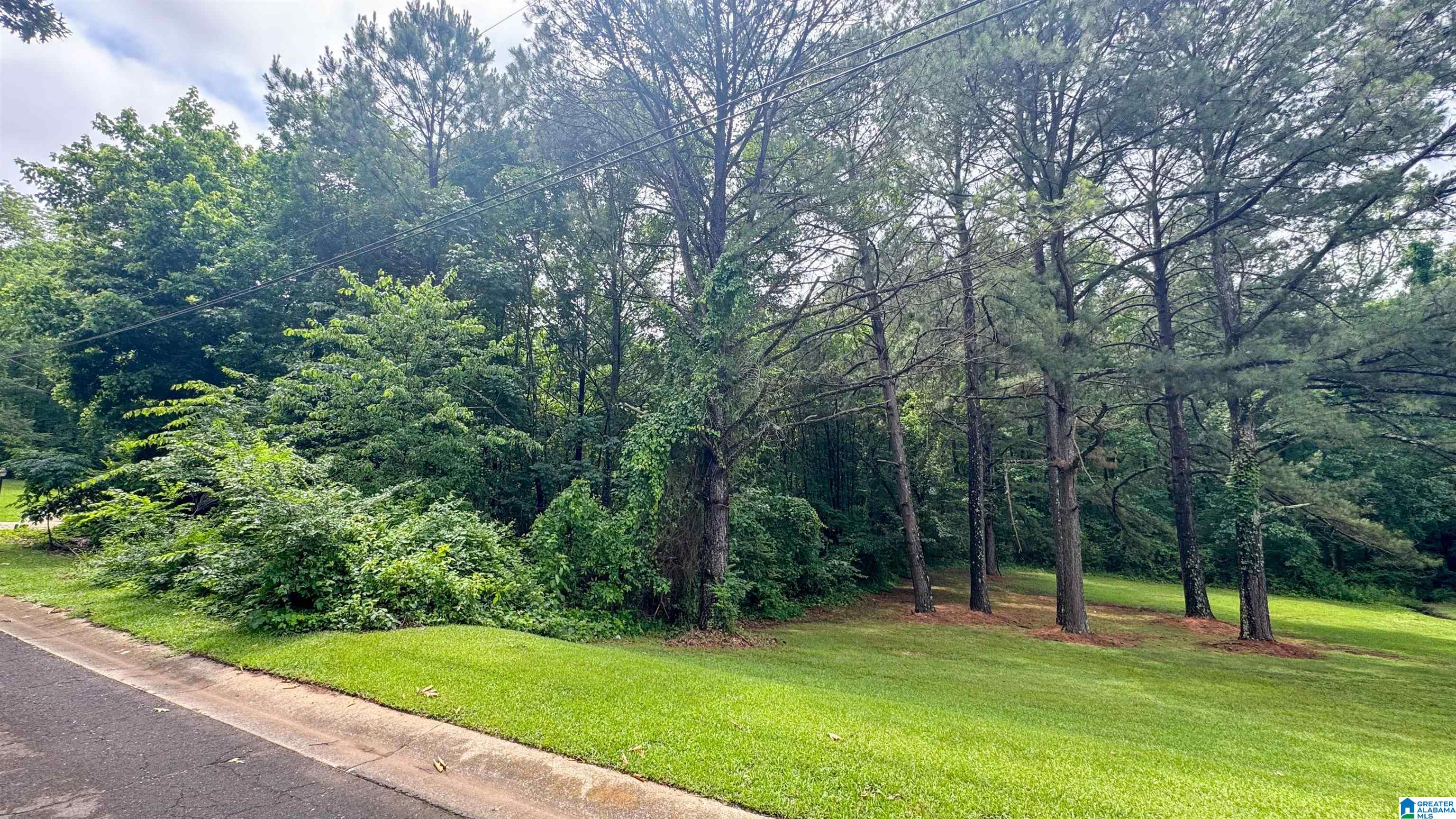 Peyton Drive, Unit 47/1 McCalla, AL 35111 - Photo 2 of 4