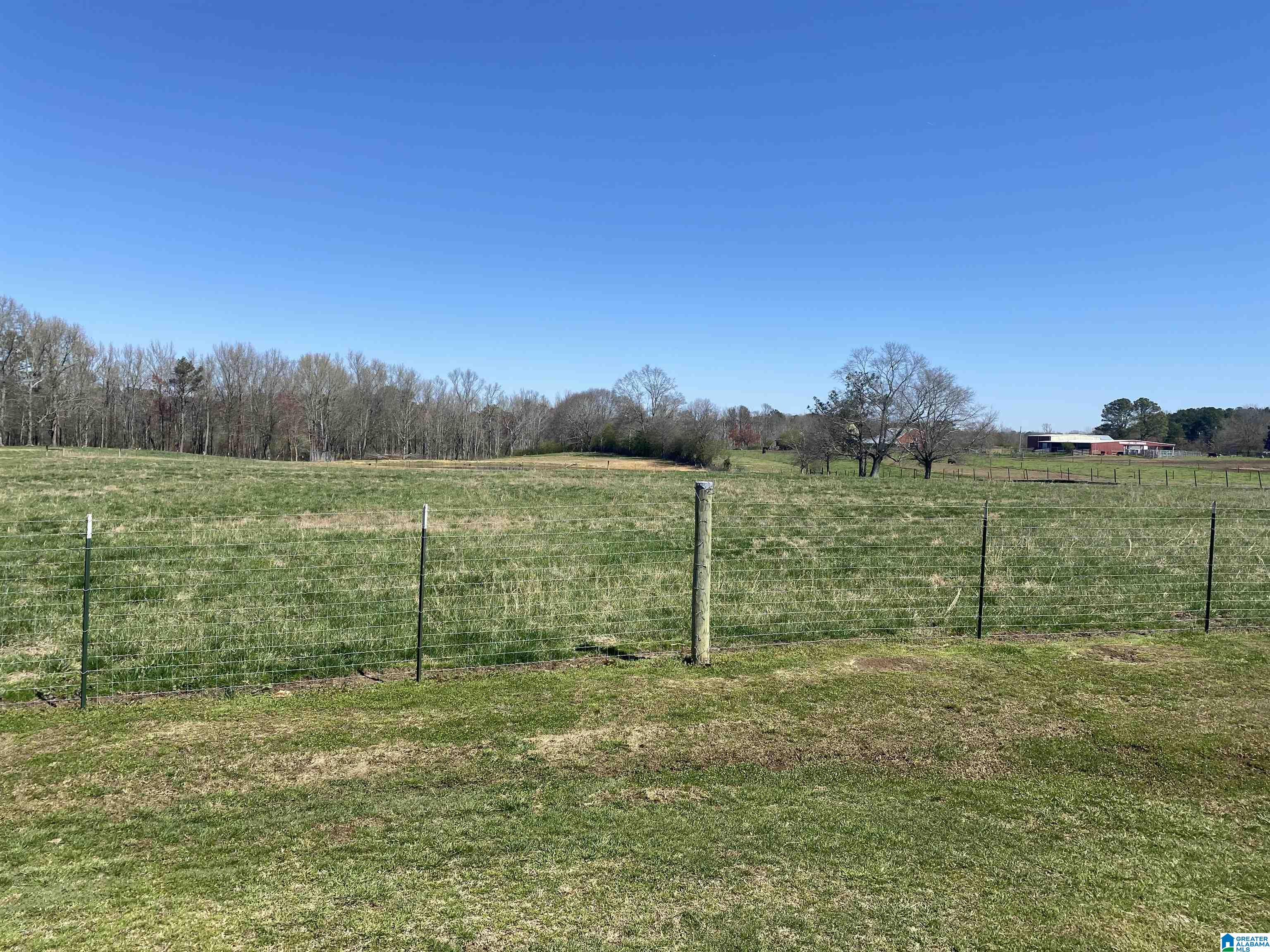 5374 Horton Gap Road Boaz, AL 35956 - Photo 32 of 35