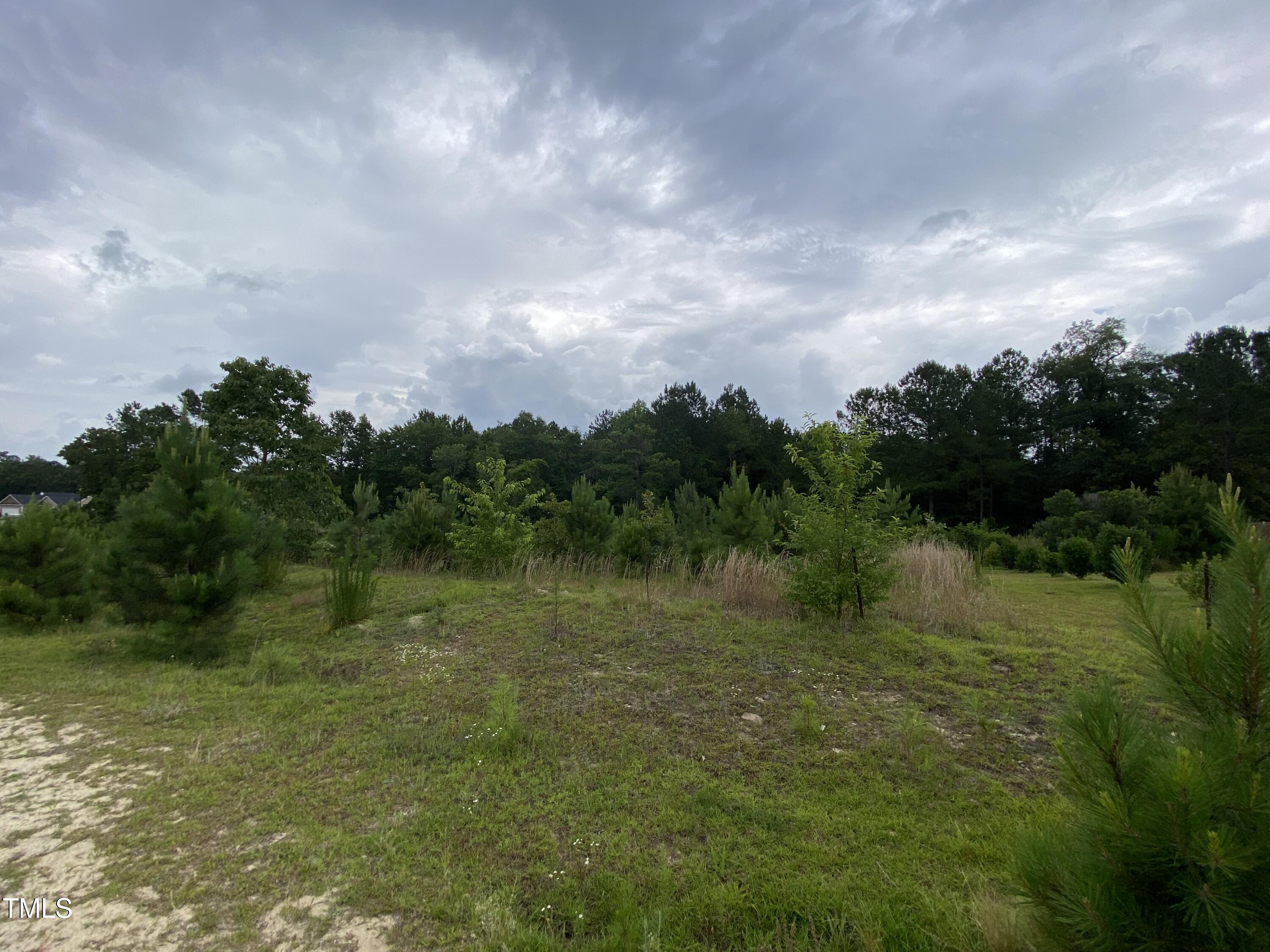 814 Juno Drive Broadway, NC 27505 - Photo 6 of 11 a view of lake with green space