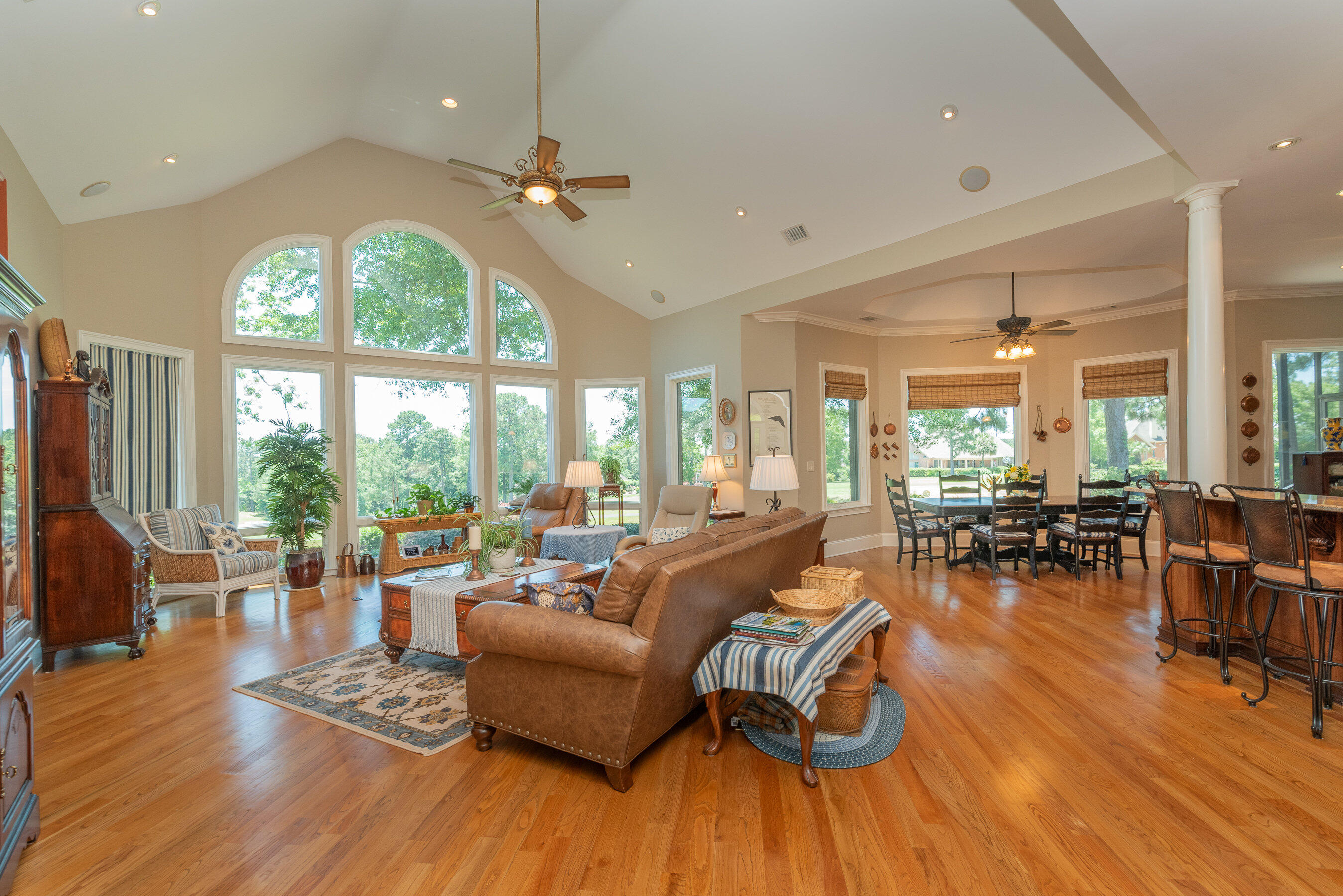 163 Red Cedar Road Aiken, SC 29803 - Photo 6 of 64 Gallery Image 6