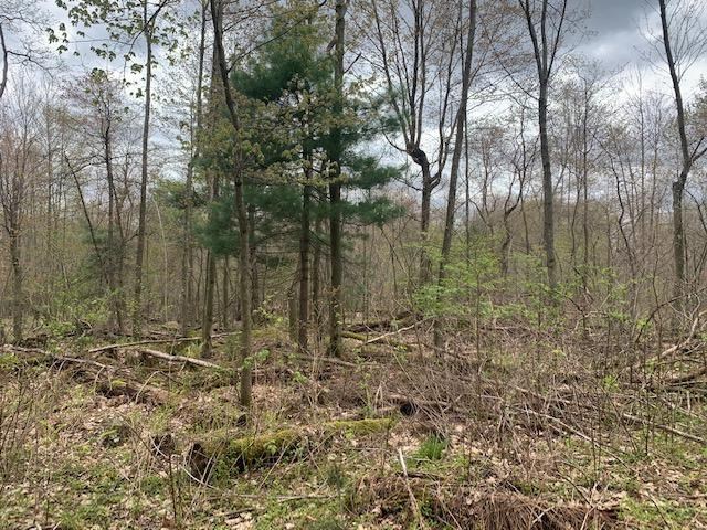 0 North Perry Road Titusville, PA 16354 - Photo 2 of 8