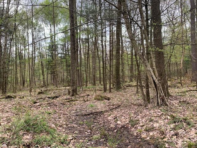 0 North Perry Road Titusville, PA 16354 - Photo 3 of 8