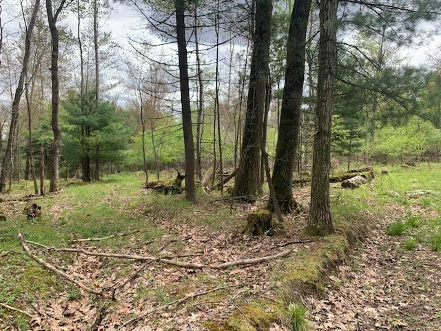 0 North Perry Road Titusville, PA 16354 - Photo 4 of 8