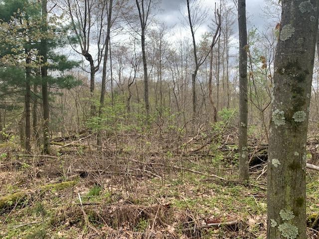 0 North Perry Road Titusville, PA 16354 - Photo 8 of 8