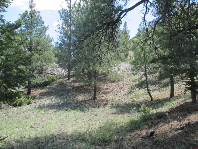 $145,000 | 299 Morningside Drive, Lake City, CO 81235