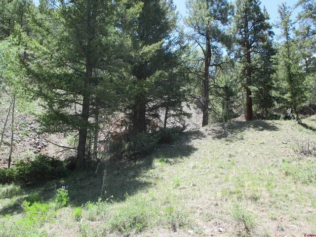 $145,000 | 299 Morningside Drive, Lake City, CO 81235