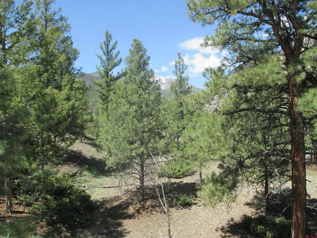 $145,000 | 299 Morningside Drive, Lake City, CO 81235