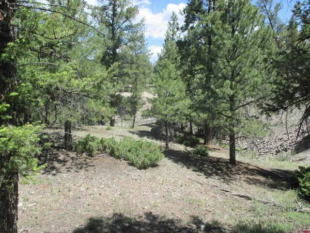 $145,000 | 299 Morningside Drive, Lake City, CO 81235