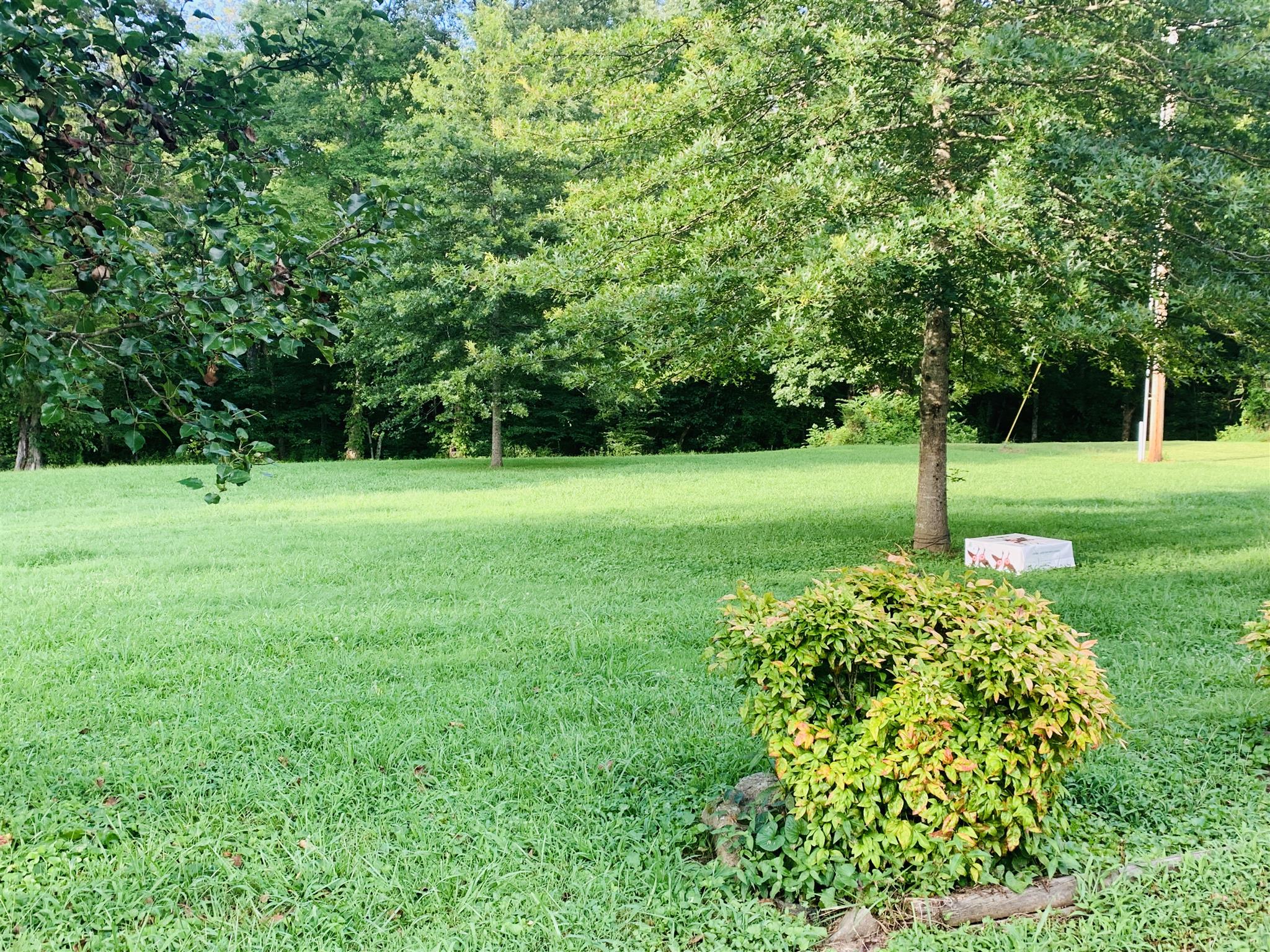 6449 Mill Creek Road Lyles, TN 37098 - Photo 3 of 28 Gallery Image 3