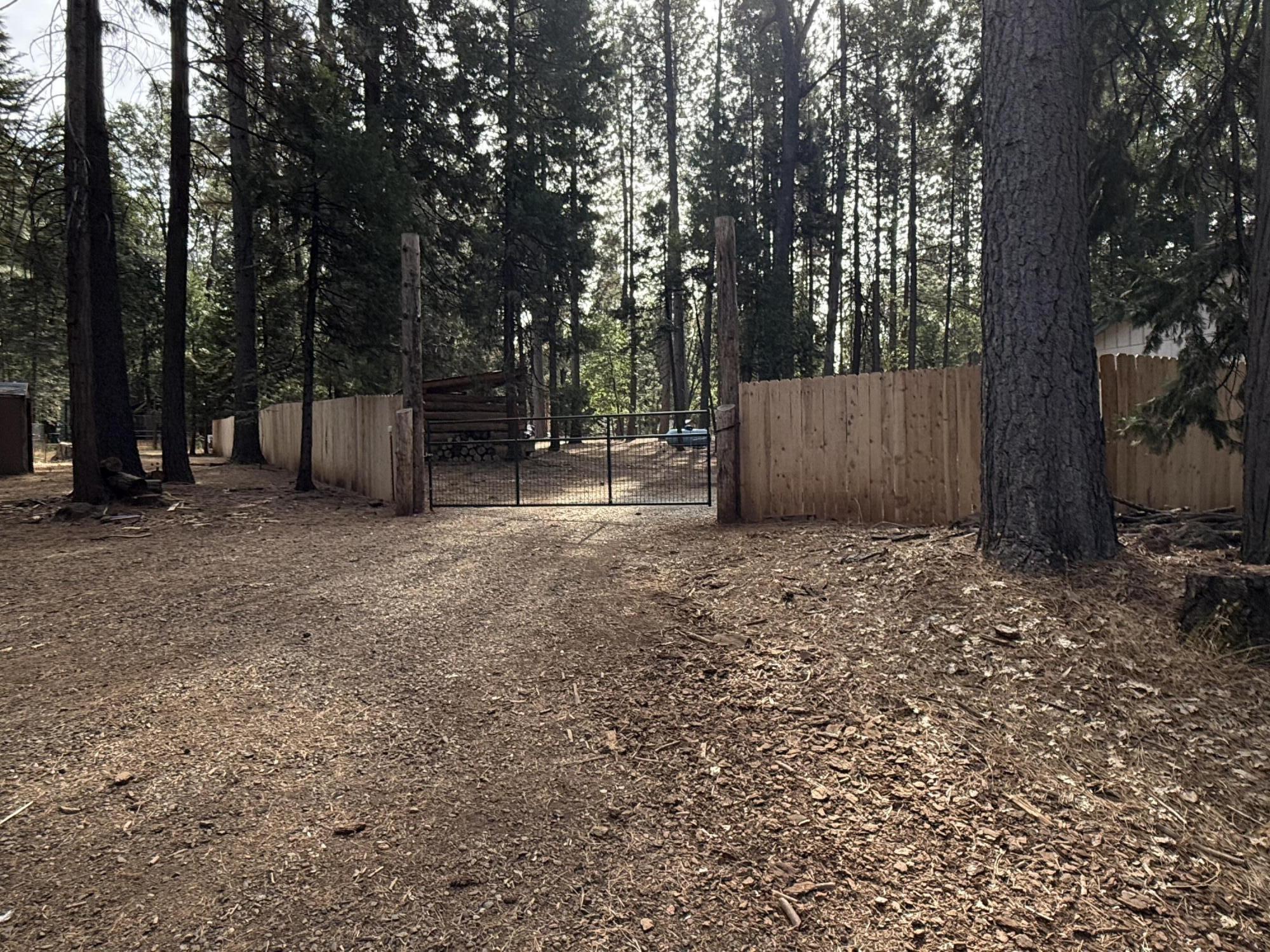 7097 Shasta Forest Drive Shingletown, CA 96088 - Photo 32 of 44 a view of a backyard with large trees and a small barn