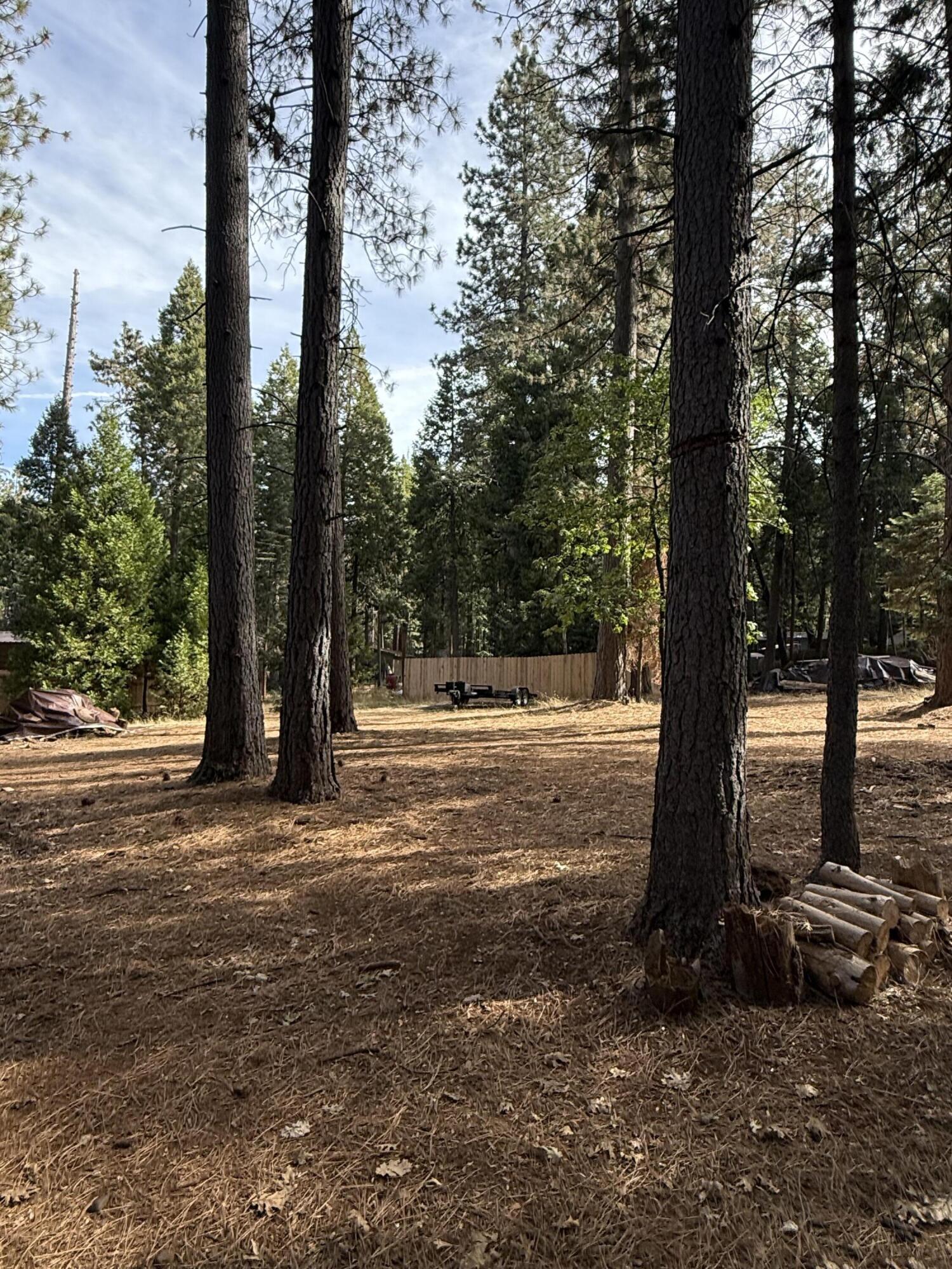 7097 Shasta Forest Drive Shingletown, CA 96088 - Photo 34 of 44 a view of outdoor space with trees