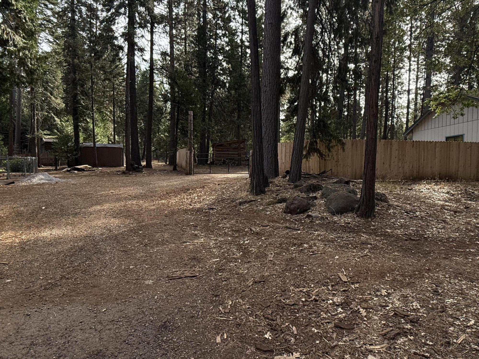 7097 Shasta Forest Drive Shingletown, CA 96088 - Photo 36 of 44 a view of outdoor space with trees