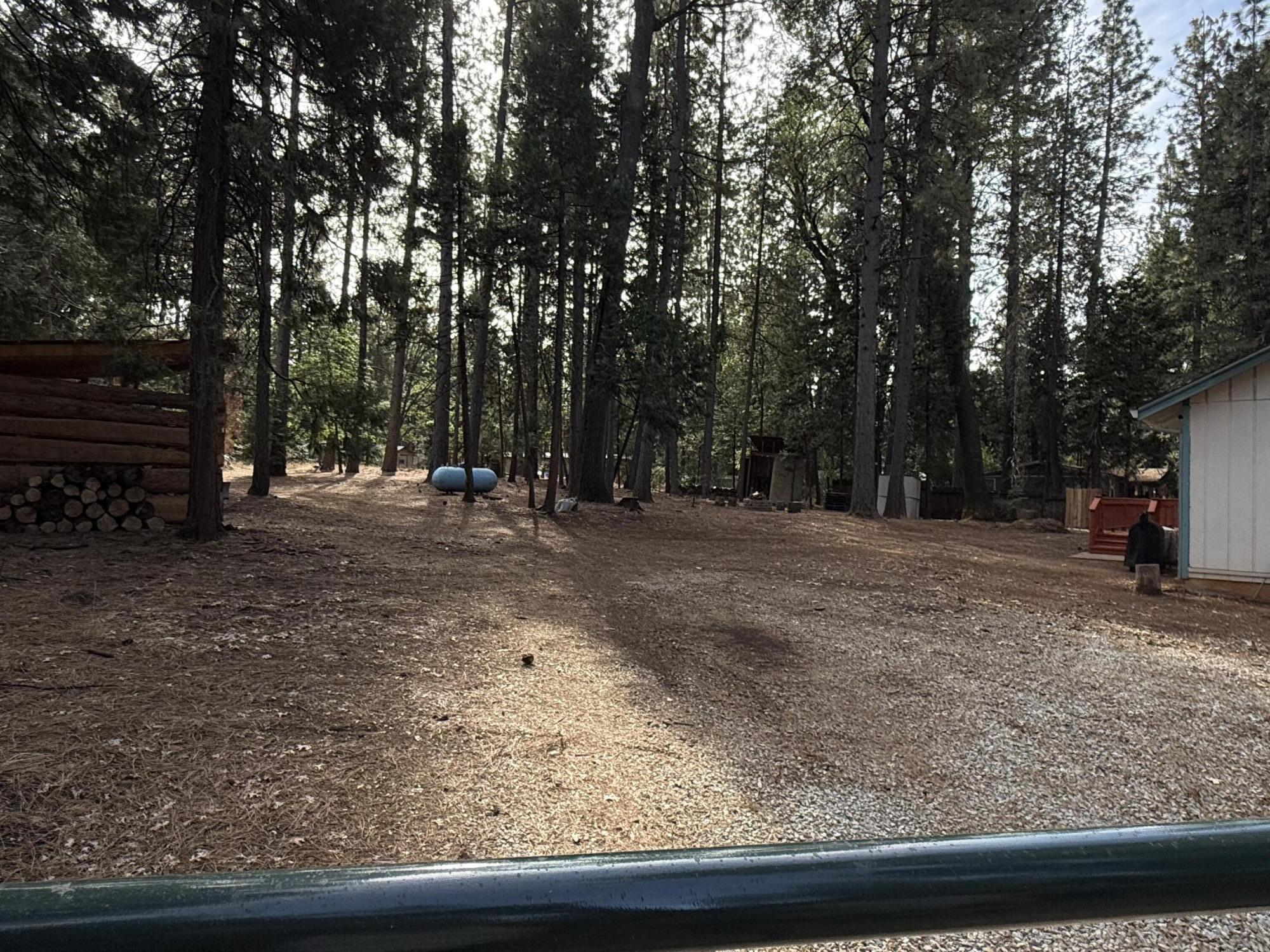 7097 Shasta Forest Drive Shingletown, CA 96088 - Photo 43 of 44 a view of road with trees