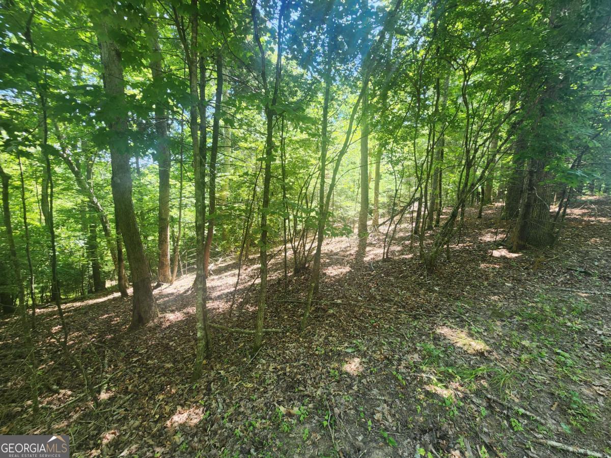 Lot 3 Meadow View Drive, Unit 3 Morganton, GA 30560 - Photo 3 of 6 a view of outdoor space and trees