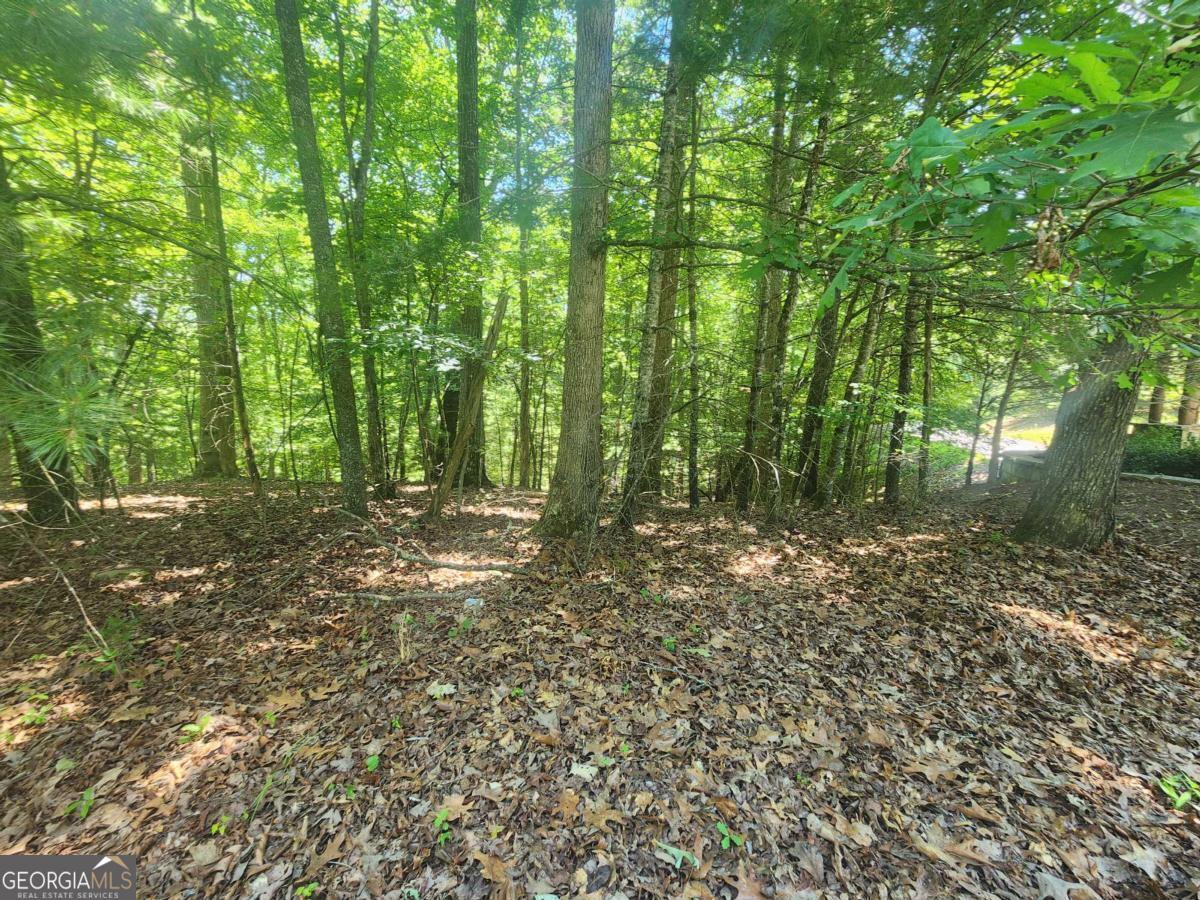Lot 3 Meadow View Drive, Unit 3 Morganton, GA 30560 - Photo 5 of 6 a view of outdoor space and trees