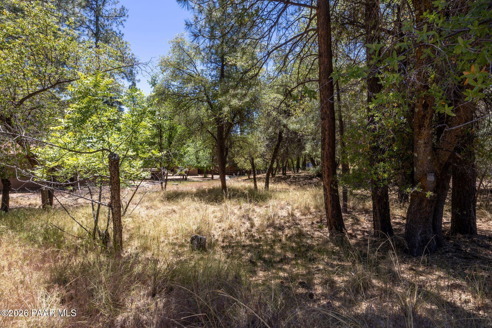 4120 South Stagecoach Road Prescott, AZ 86303 - Photo 3 of 12 004-Land