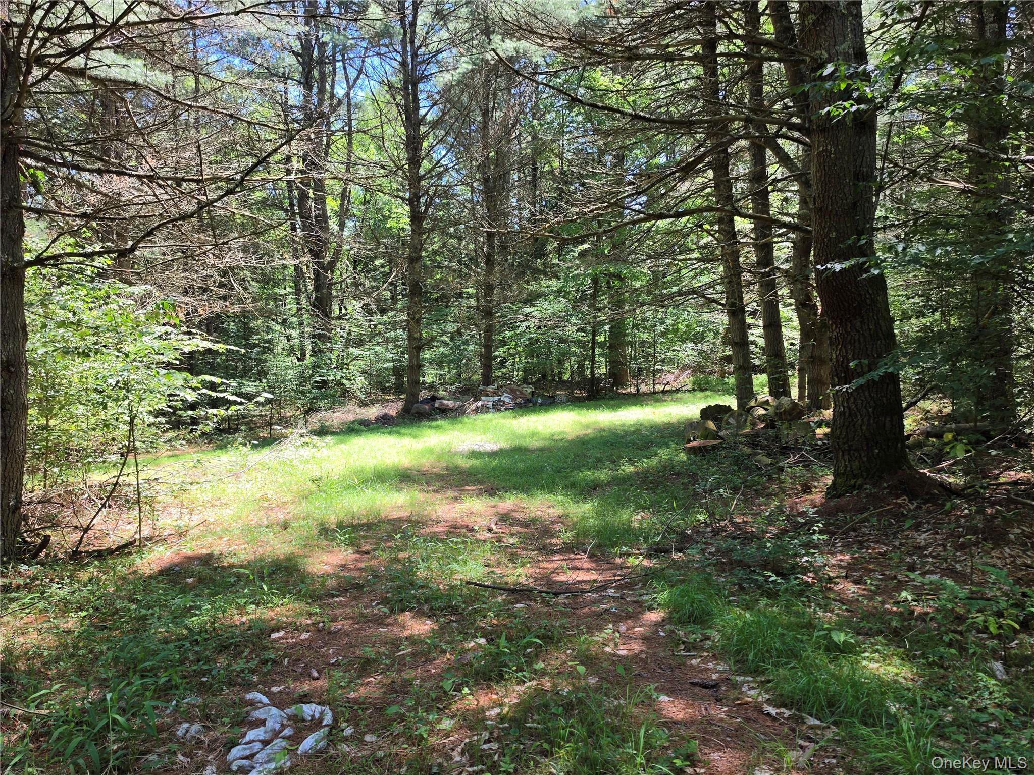Tbd Camp Kennybrook Road Monticello, NY 12701 - Photo 20 of 34