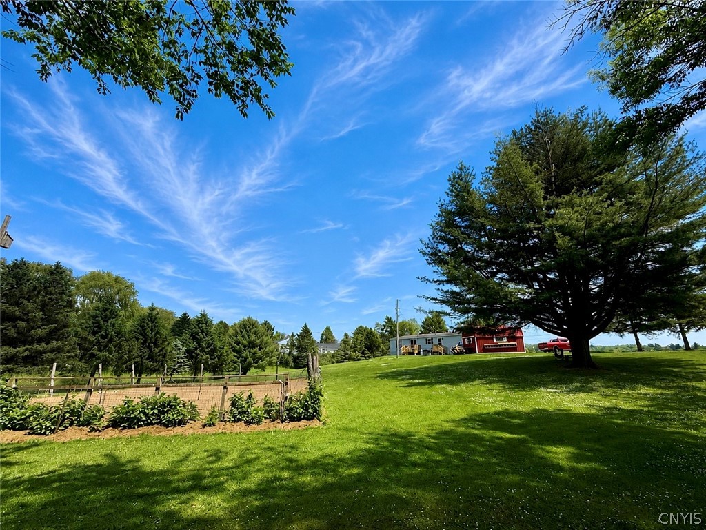 6317 Brown Road Eaton, NY 13408 - Photo 8 of 40